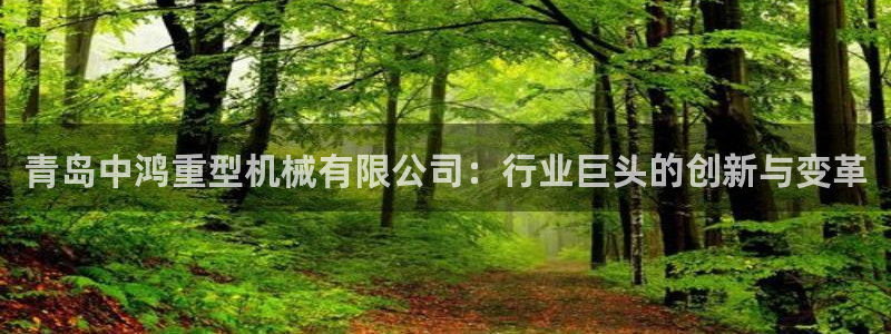 龙八国际网站多少