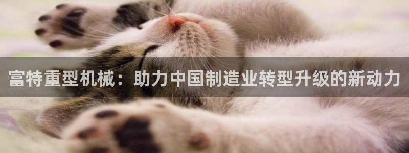 下载龙八国际
