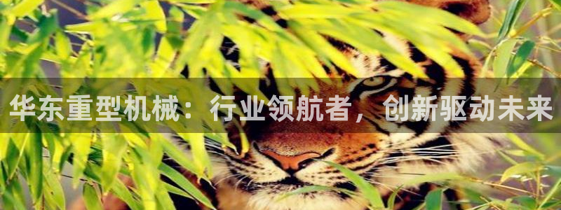 龙八国际网站全网