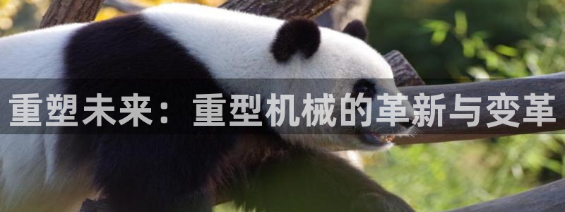 龙八国际在线玩