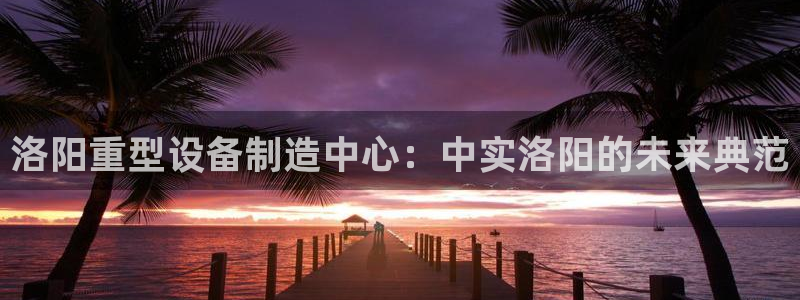 龙八国际