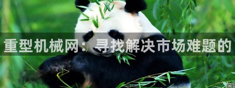 龙八国际官方网