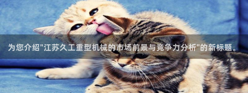 龙八国际是干什么的