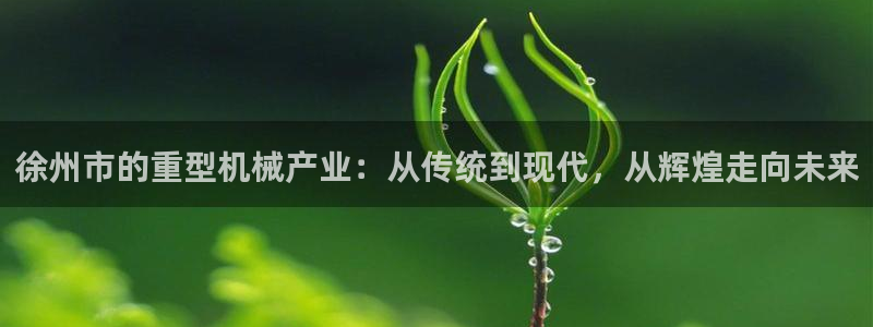 龙八国际娱乐网站多少