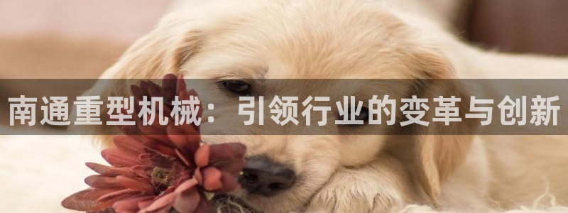 龙八国际官网app