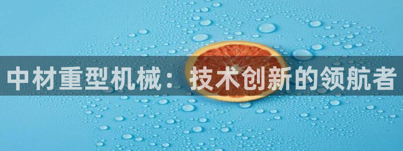 龙八国际游戏视频