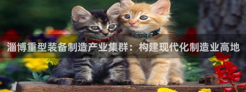 龙八国际头号玩家是谁