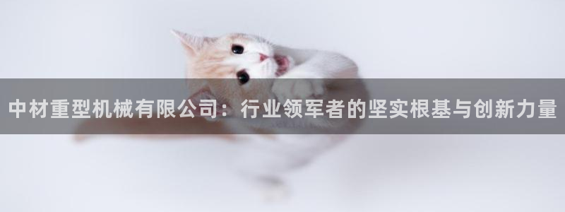 龙八国际新版