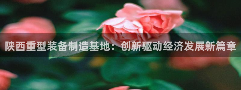 www.龙八国际