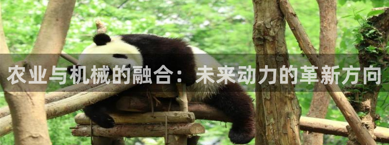 龙八国际官方