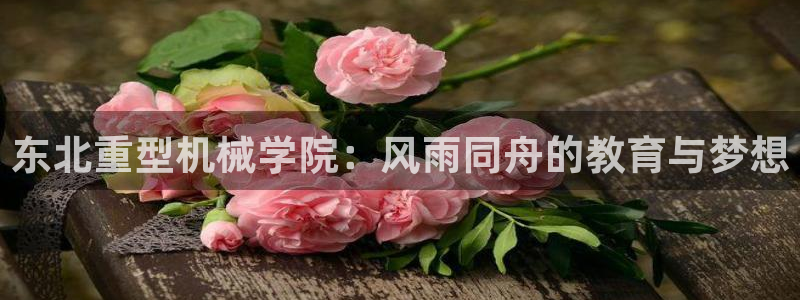 龙八国际APP客户