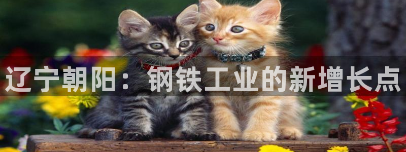 龙八国际娯乐城软件下载