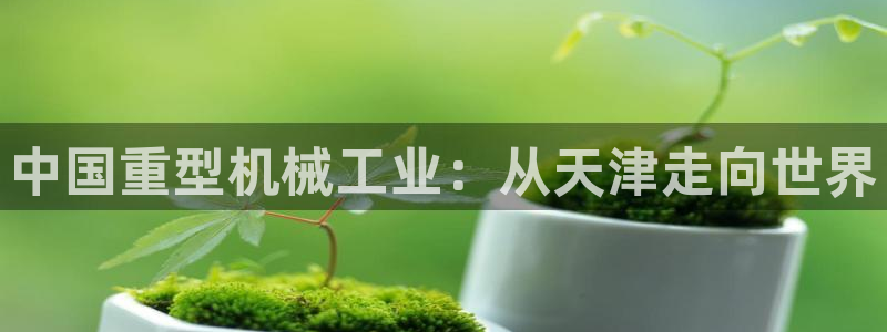 龙八国际娯乐城软件下载