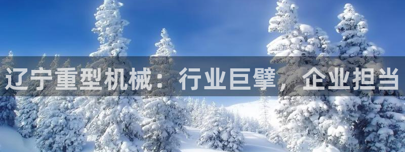 龙八国际图片