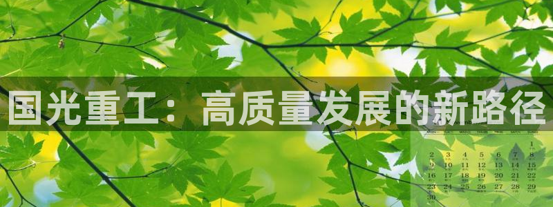 龙八国际在哪里啊