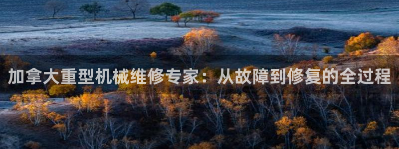 龙八国际 我的