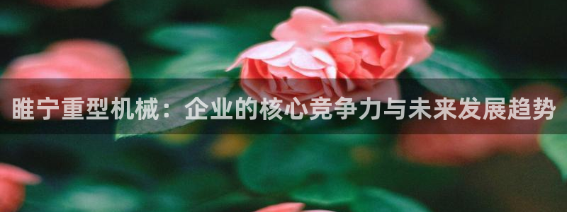 龙八国际娱乐pt老虎机