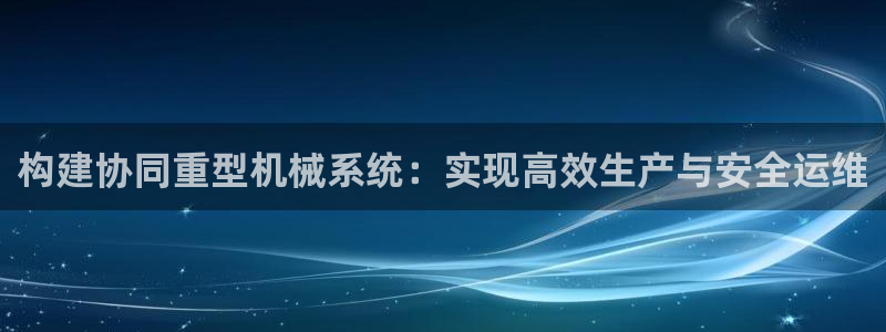 龙八国际有限责任公司