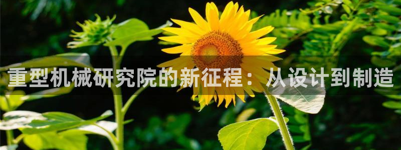 龙八国际游乐城
