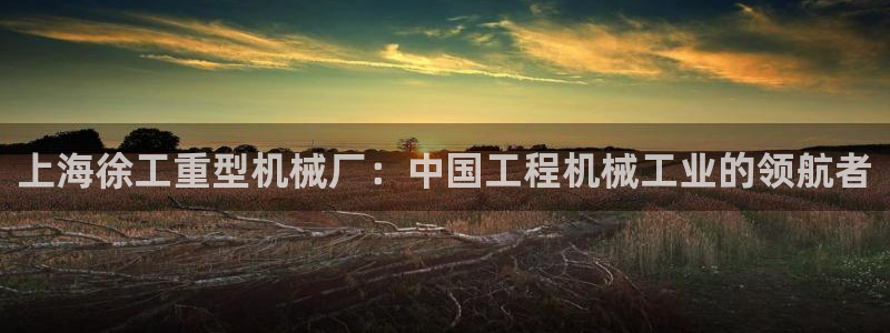 龙八国际黑吗