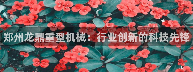 龙八国际娱乐网址
