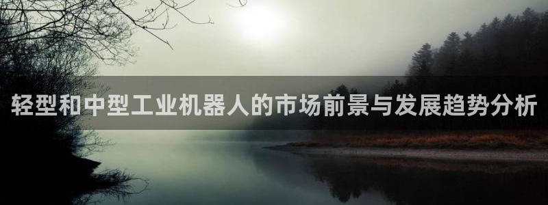 龙八国际花园宝宝