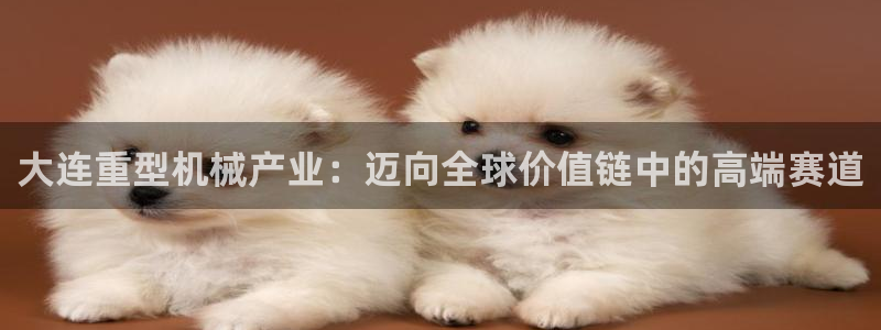 菲律宾龙八国际杀猪