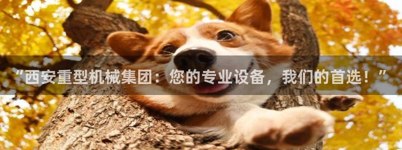 龙八国际服官网下载