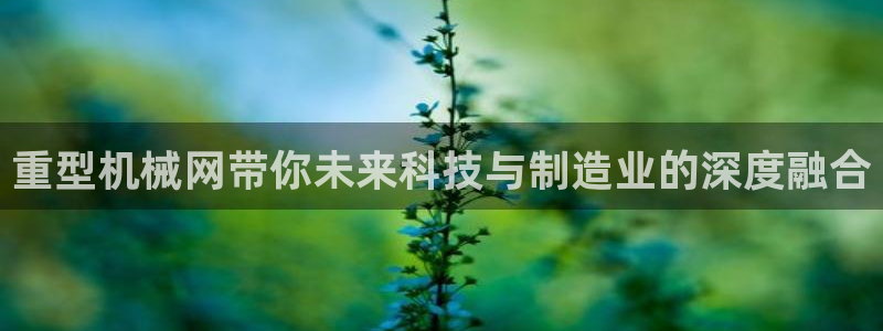 不会玩龙八国际