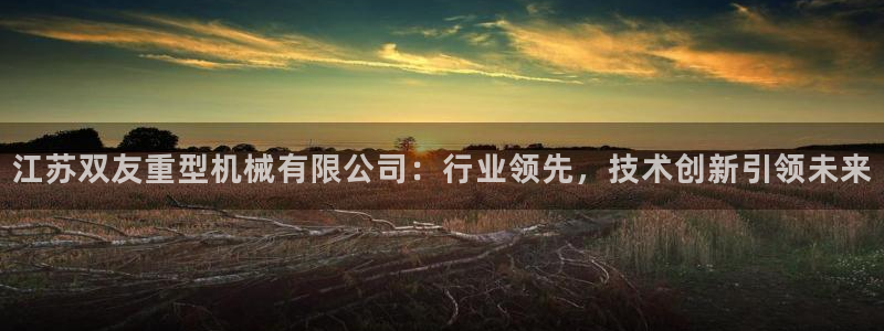 龙八国际城网站