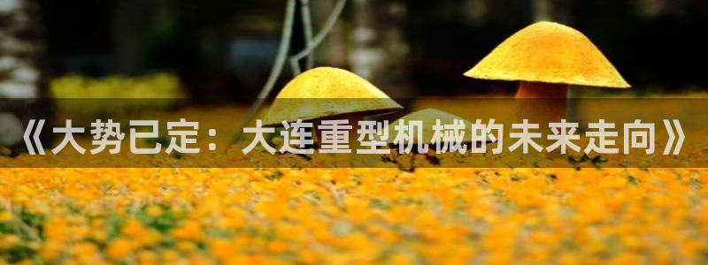 龙八国际电话