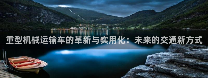 不会玩龙八国际