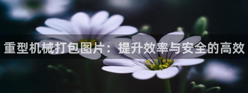 龙八国际试玩网页版