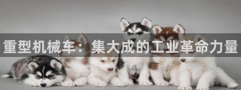 正规龙八国际