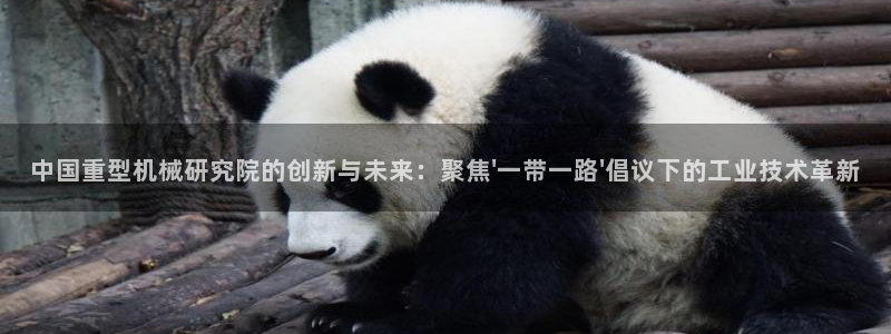 下载龙八国际手机版