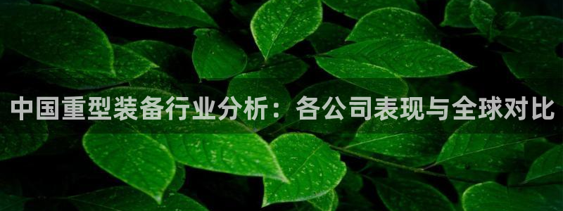 龙八国际娱乐在线