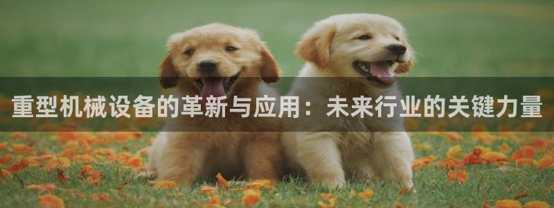 龙八国际app手机版下载苹果