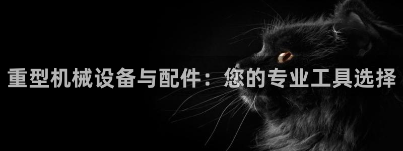 龙八国际试玩网页版