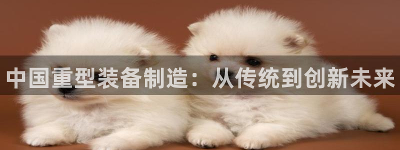 龙八国际apPP