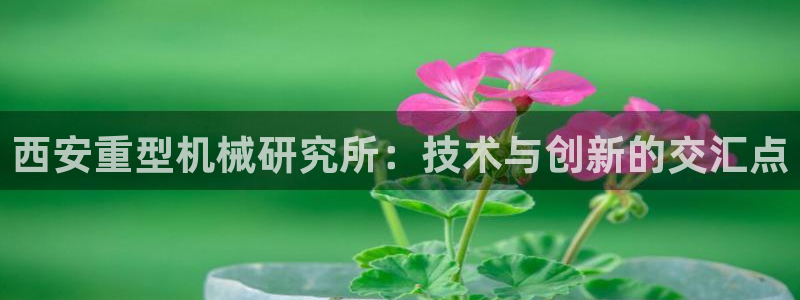 龙八国际免费下载