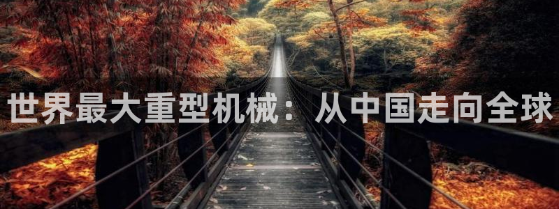 龙八国际国际娱乐官网