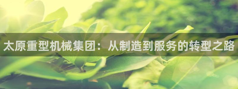 龙八国际技巧