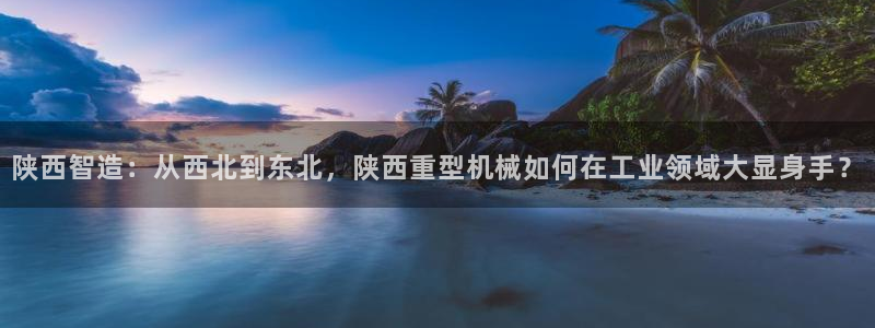 怎么举报龙八国际