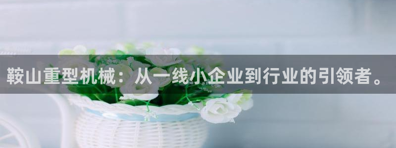 龙八国际图片