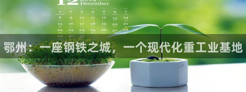 龙八国际股票