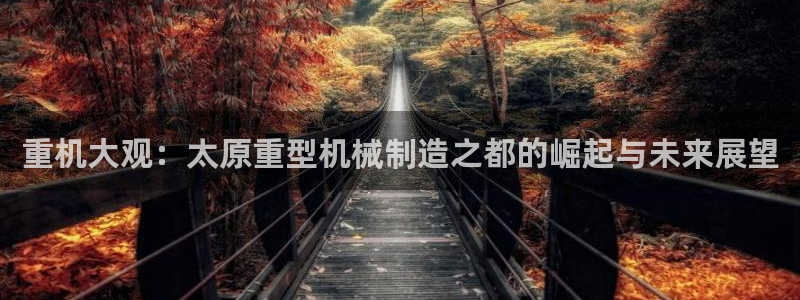 龙八国际网页long8868