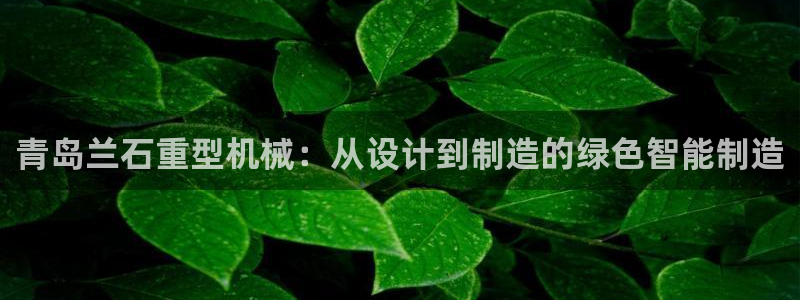 龙八国际服官网下载