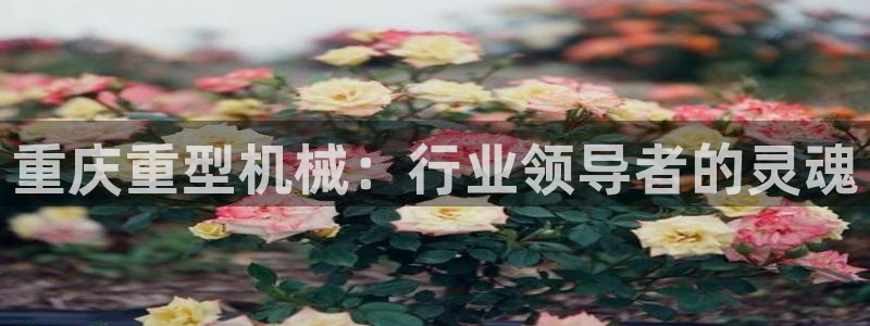 龙八国际刘佳烨