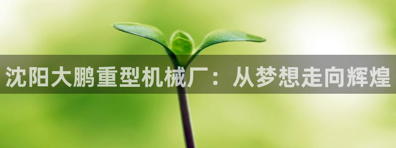 正规龙八国际娱乐