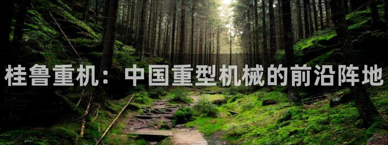 龙八国际娱乐官网app